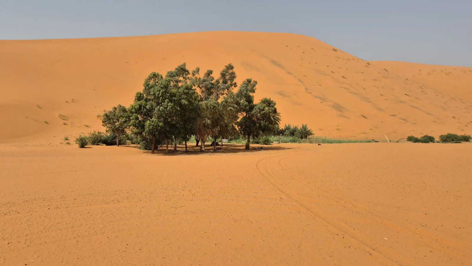 Yoga & Meditation in der Sahara | Marokko | 3.-15. Oktober 2026 (3/6)