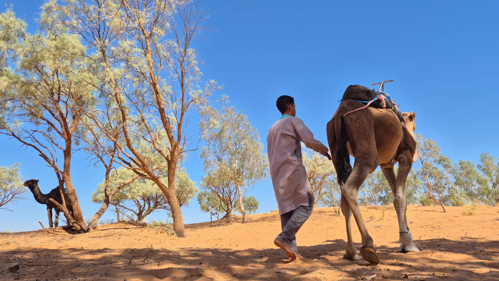 Yoga & Meditation in der Sahara | Marokko | 3.-15. Oktober 2026 (2/6)