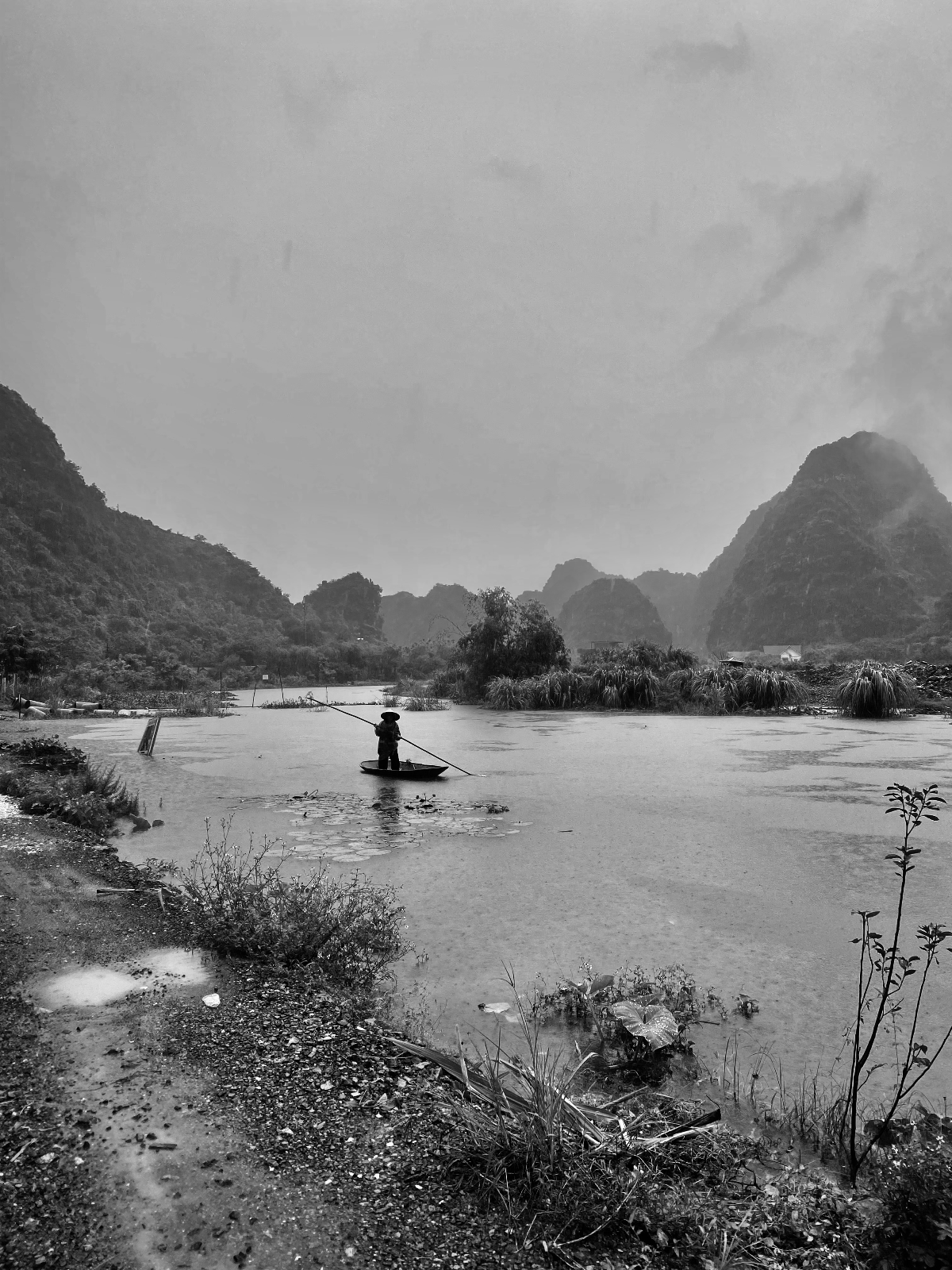 Slow Butterfly Retreat ~ Vietnam (3/6)