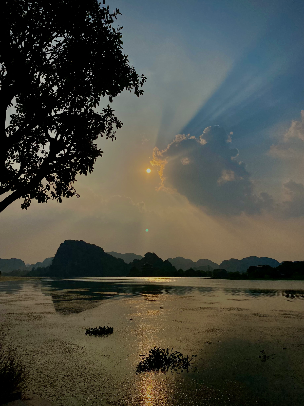 Slow Butterfly Retreat ~ Vietnam (6/6)