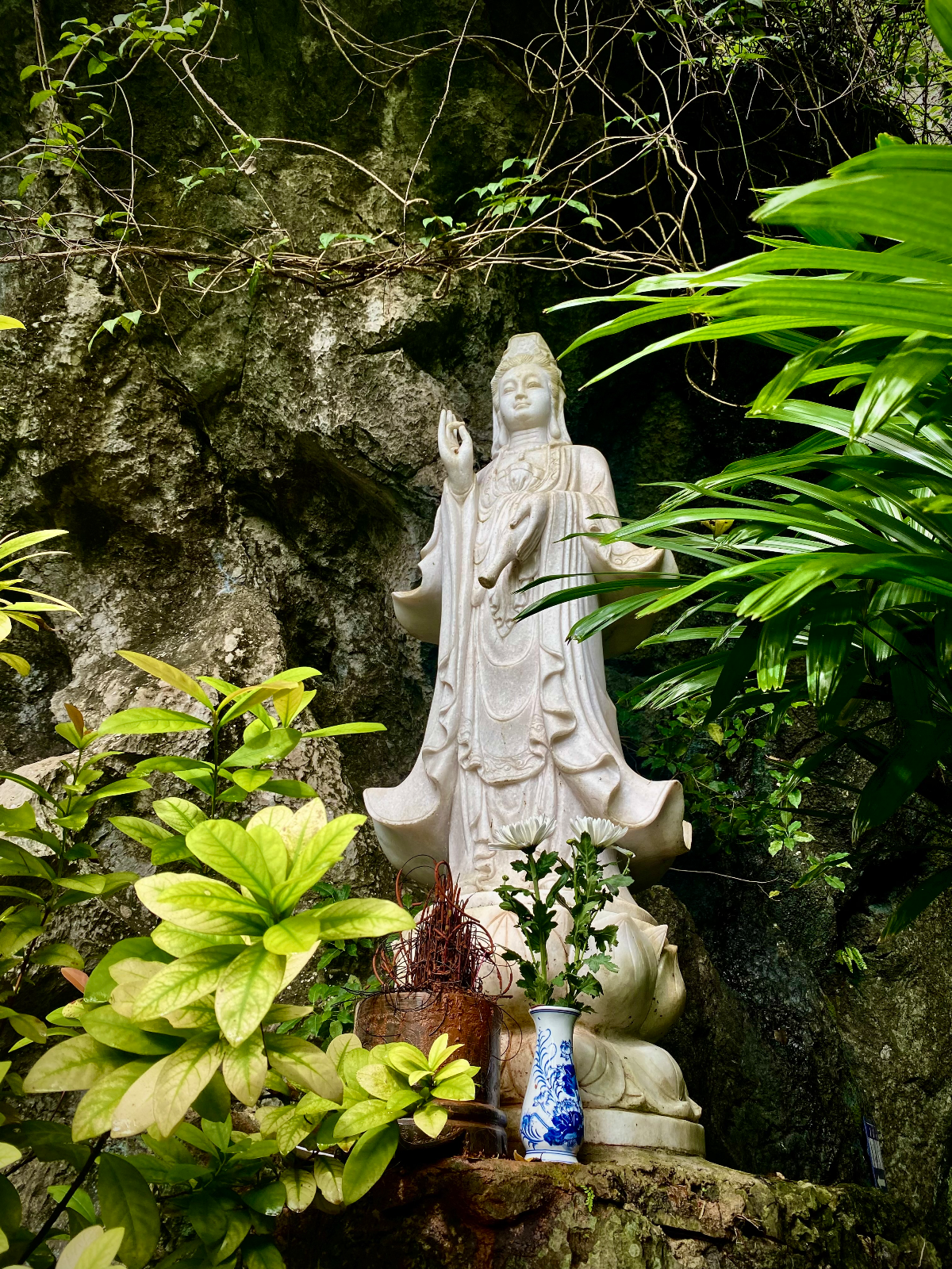 Slow Butterfly Retreat ~ Vietnam (5/6)