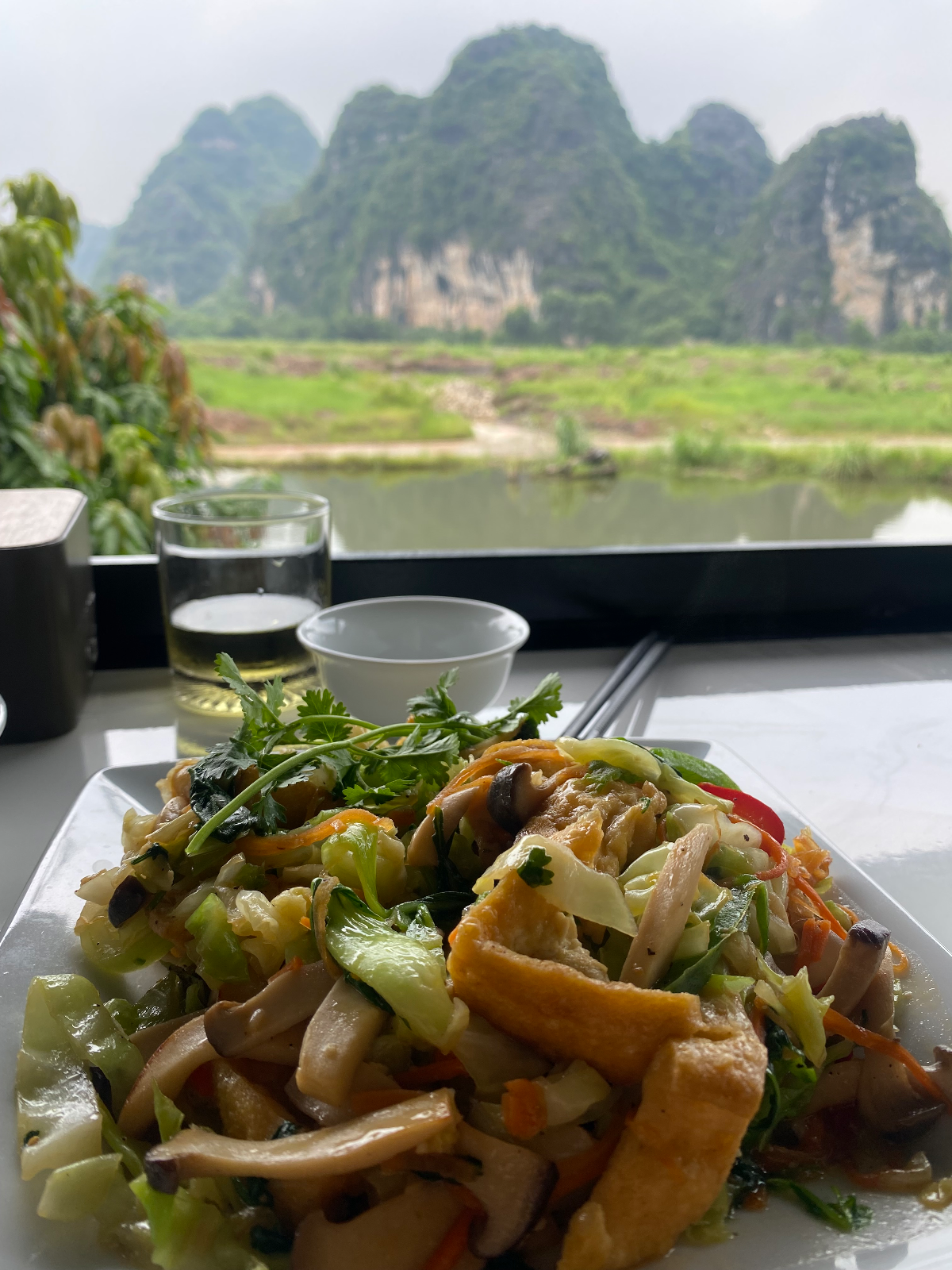 Slow Butterfly Retreat ~ Vietnam (4/6)
